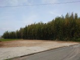 LINE_ALBUM_岩岡町 解体工事 完了_250709_1